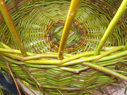 eika image